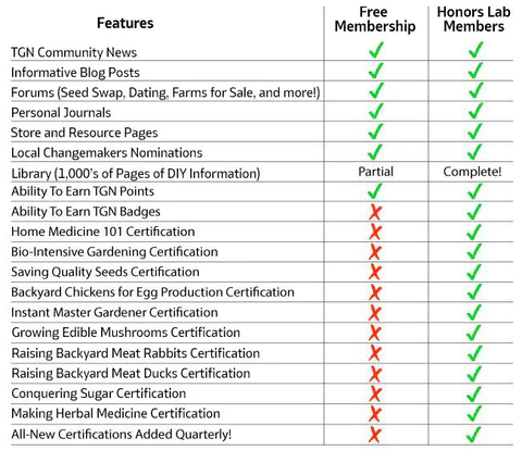 Honors Lab Checklist Table