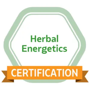 badge Energentics