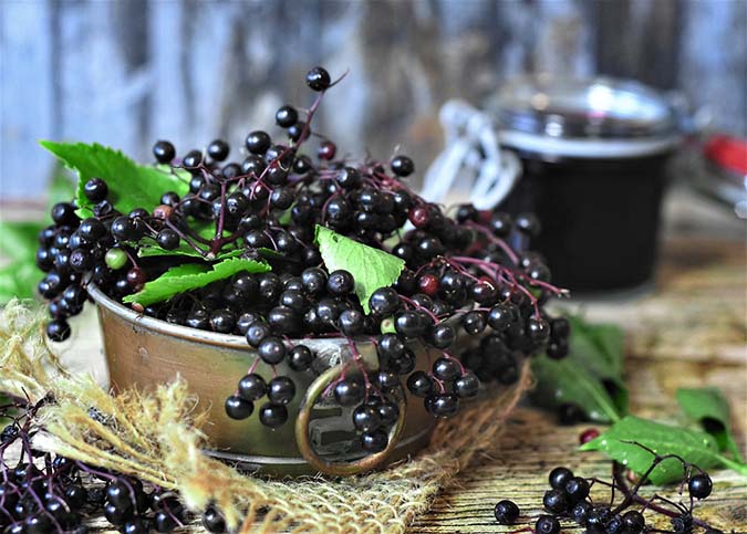 elderberries bowl image