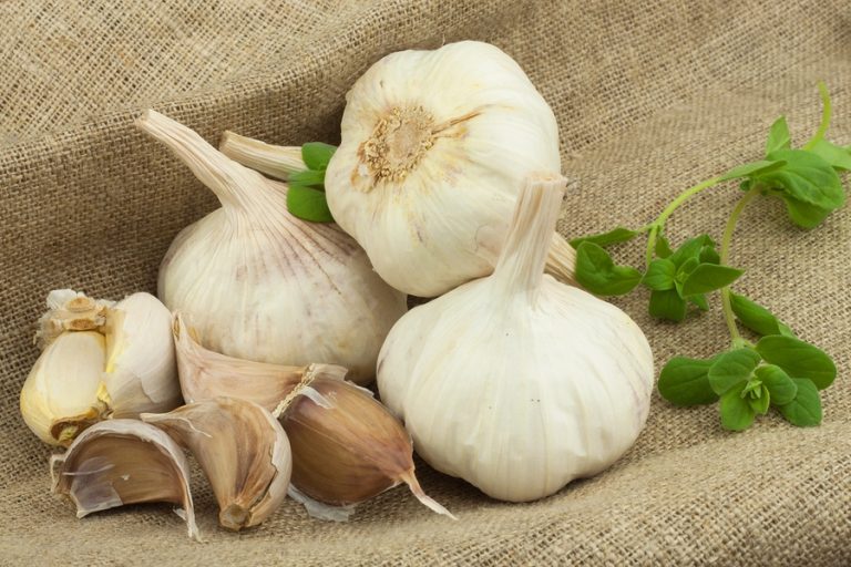 Natural Garlic Image